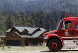 Trees burned in the Wallow Fire are seen as firefighter Dave Page sits in a fire truck in Greer, Ariz., Monday, June 13, 2011. The focus of the battle against a massive wildfire burning in eastern Arizona shifted to New Mexico on Monday as crews lit fires around the town of Luna to stop the flames. (AP Photo/Jae C. Hong)