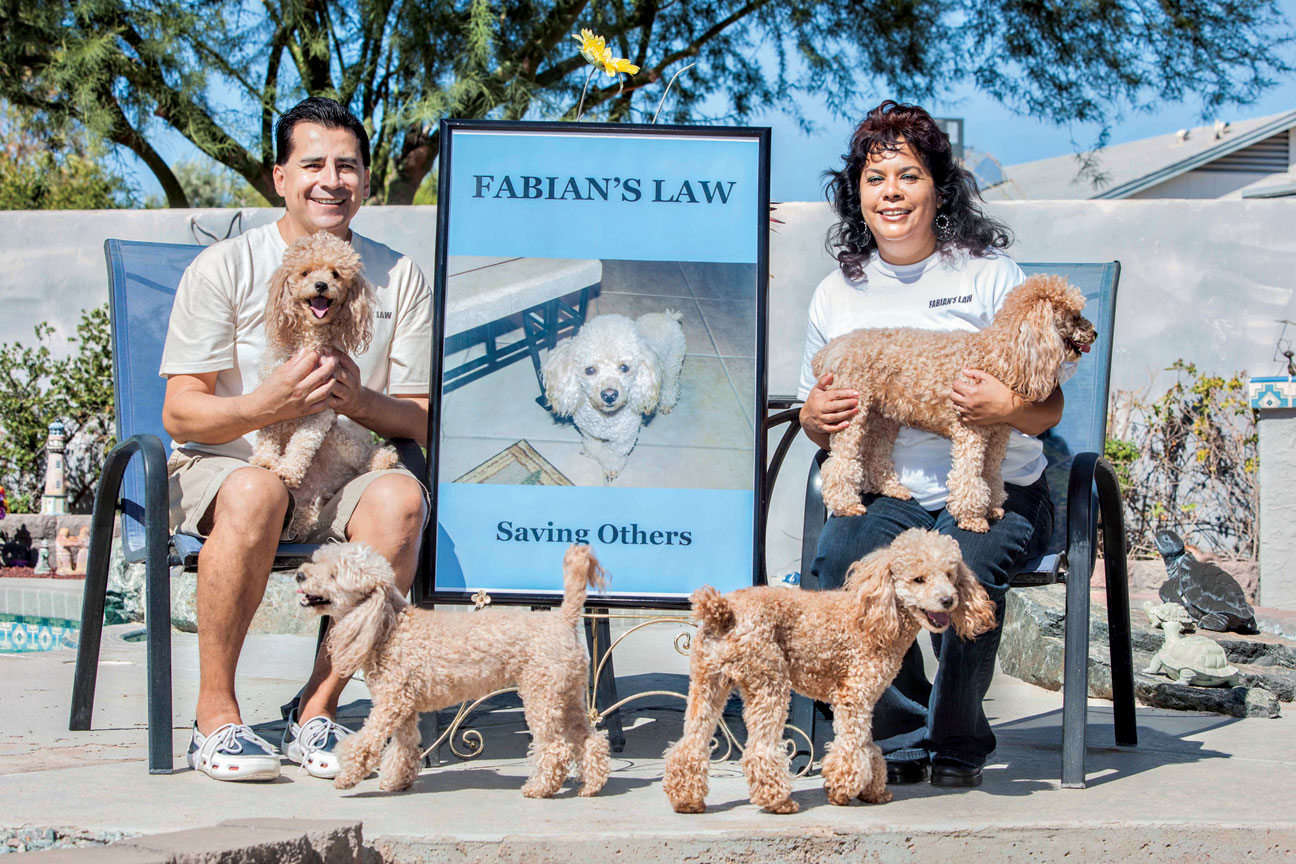 Richard and Sally Andrade, of Glendale, used the 2009 mauling death of their poodle, Fabian, by a loose pit bull as motivation to change things. The result of their effort was Arizona’s Aggressive Dog Owner Responsibility Law, also known as Fabian’s Law, enacted in 2011.