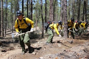 In this 2012 photo provided by the Cronkite News, the Granite Mountain Hotshot crew clears a fire line through the forest. On Sunday, June 30, 2013, 19 members of the Prescott, Ariz.-based crew were killed in the deadliest wildfire involving firefighters in the U.S. for at least 30 years. The firefighters were forced to deploy their emergency fire shelters - tent-like structures meant to shield firefighters from flames and heat - when they were caught near the central Arizona town of Yarnell, according to a state forestry spokesman. (AP Photo/Cronkite News, Connor Radnovich)