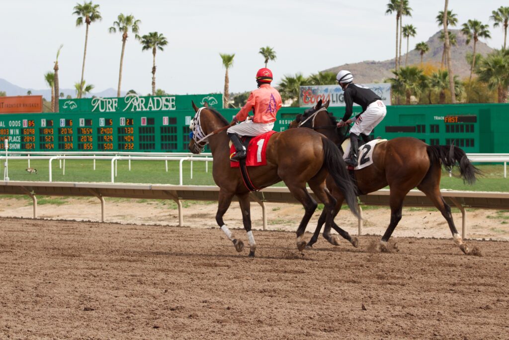 Turf Paradise, horse racing, Horseracing Integrity and Safety Authority, track conditions