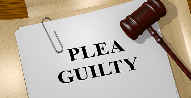 guilty plea, elections, Maricopa County, Iowa, Arizona