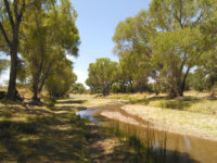 wetlands, Supreme Court, ranchers