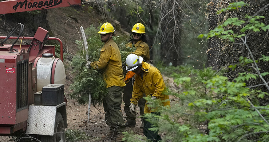 forests, West, controlled burns, Biden administration