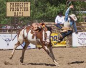 Prescott Frontier Days, rodeo, lawsuit