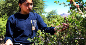 Oak Flat, Chiricahua Apache, Resolution Copper