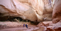 Lake Powell, Colorado River