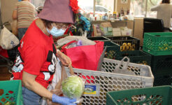 seniors, food banks