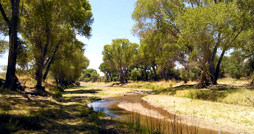 water, Bruce Lee, drought, Kyl Center, Stanton