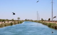 water, Imperial Valley, Arizona, Colorado River, California, drought