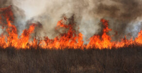 wildfire, northern Arizona, Kaibab National Forest