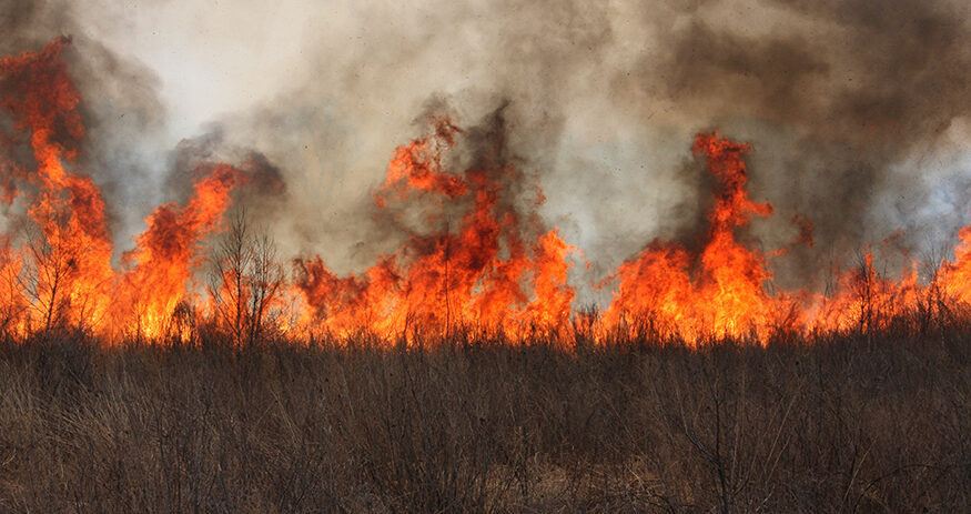 wildfire, northern Arizona, Kaibab National Forest