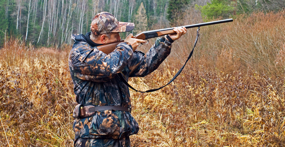 Hunters can use lead ammunition despite bullets left behind killing ...