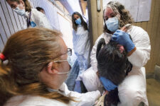 bird flu, California condors, Arizona