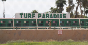 horse racing, Turf Paradise, gambling