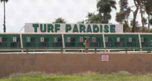 horse racing, Turf Paradise, gambling