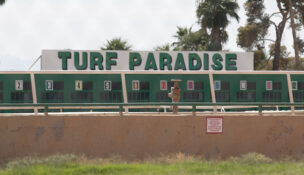 horse racing, Turf Paradise, gambling