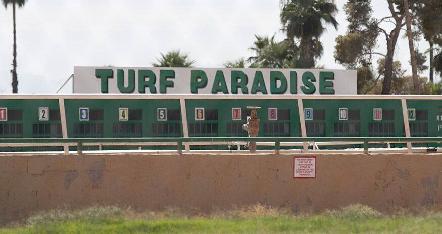 horse racing, Turf Paradise, gambling