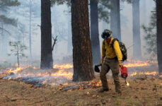 Forest Service, wildfires, controlled burns