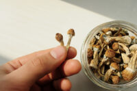 psilocybin whole mushrooms , Payne, Arizona Department of Health Services