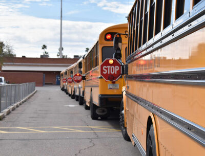 school ratings, grades, public schools