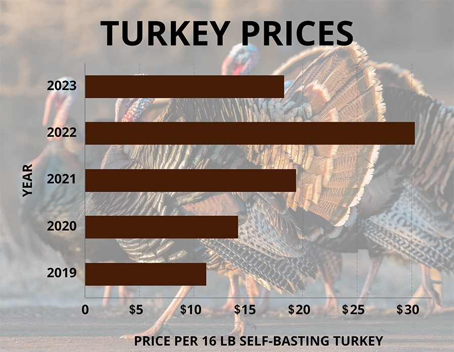 Increasing supply of turkeys drives down price of traditional