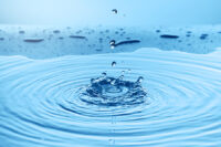 water splash collection on blue background