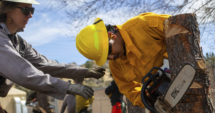 Aravaipa Hotshot Katie Williamson, left, instructs a Wildfire academy student using a chainsaw, Monday, March 11, 2024, in Prescott, Ariz. Forecasters are warning that the potential for wildfires will be above normal in some areas across the United States over the coming months as temperatures rise and rain becomes sparse.