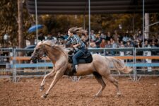 A woman rides a horse at a rodeo