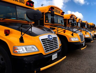 A row of school buses