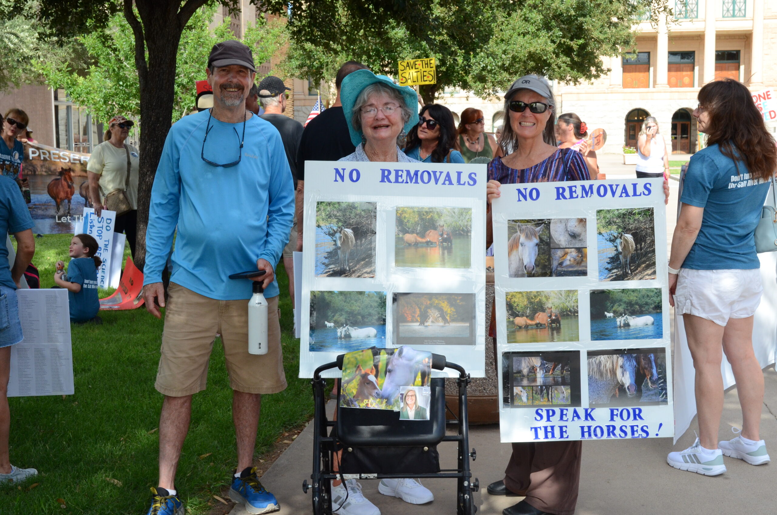 A new hope for the Salt River horses